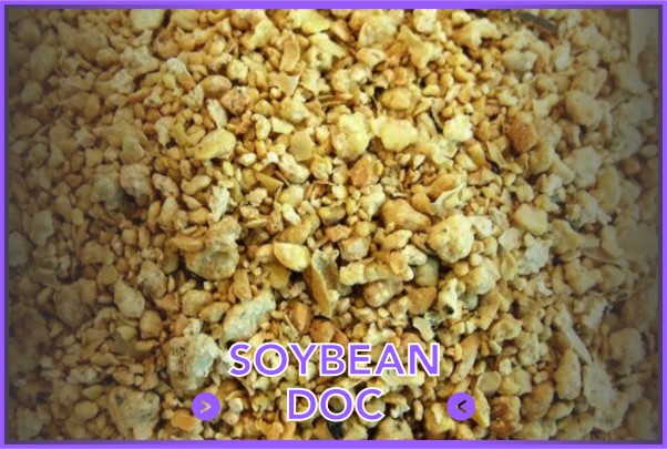Soybean DOC