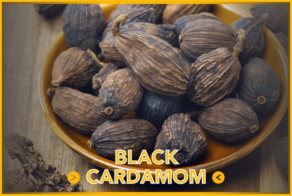 Black cardamom